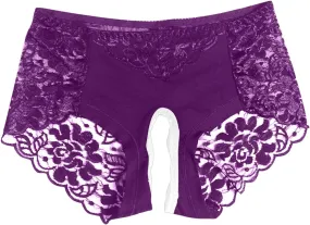 Womens Sexy Cheeky Underwear Seamless Panties Mesh Lace Bikini Briefs See Through Sheer Slutty Naughty Sex Lingerie