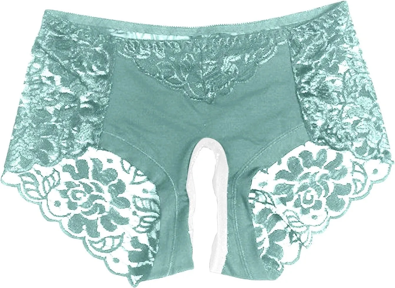 Womens Sexy Cheeky Underwear Seamless Panties Mesh Lace Bikini Briefs See Through Sheer Slutty Naughty Sex Lingerie