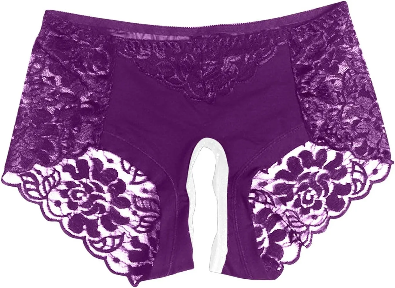 Womens Sexy Cheeky Underwear Seamless Panties Mesh Lace Bikini Briefs See Through Sheer Slutty Naughty Sex Lingerie