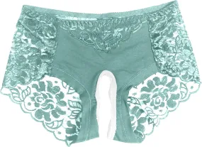 Womens Sexy Cheeky Underwear Seamless Panties Mesh Lace Bikini Briefs See Through Sheer Slutty Naughty Sex Lingerie